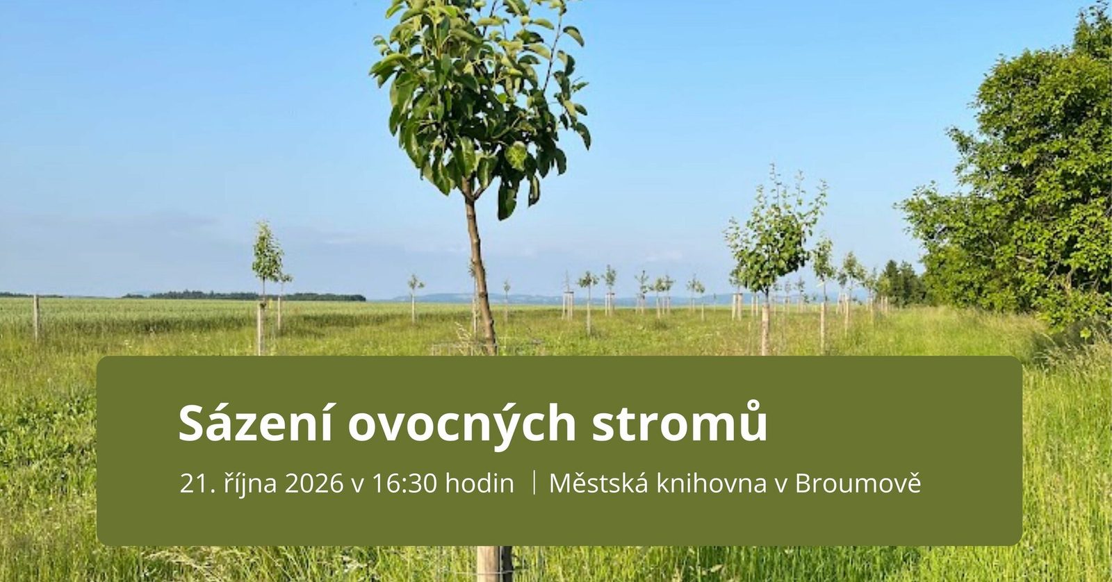 Přednáška: Sázení ovocných stromů